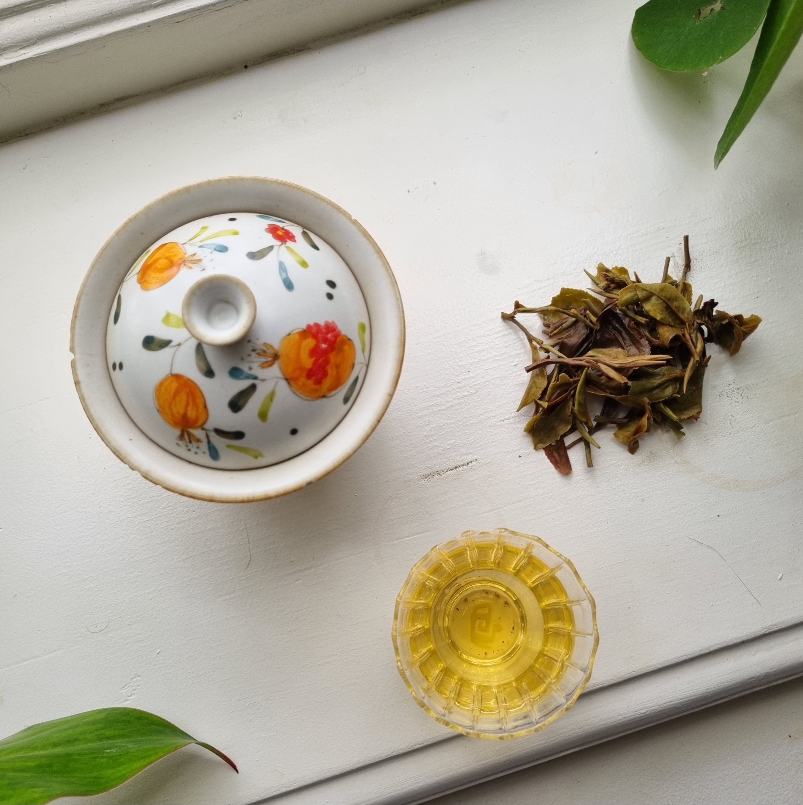 Jethikupi White Darjeeling