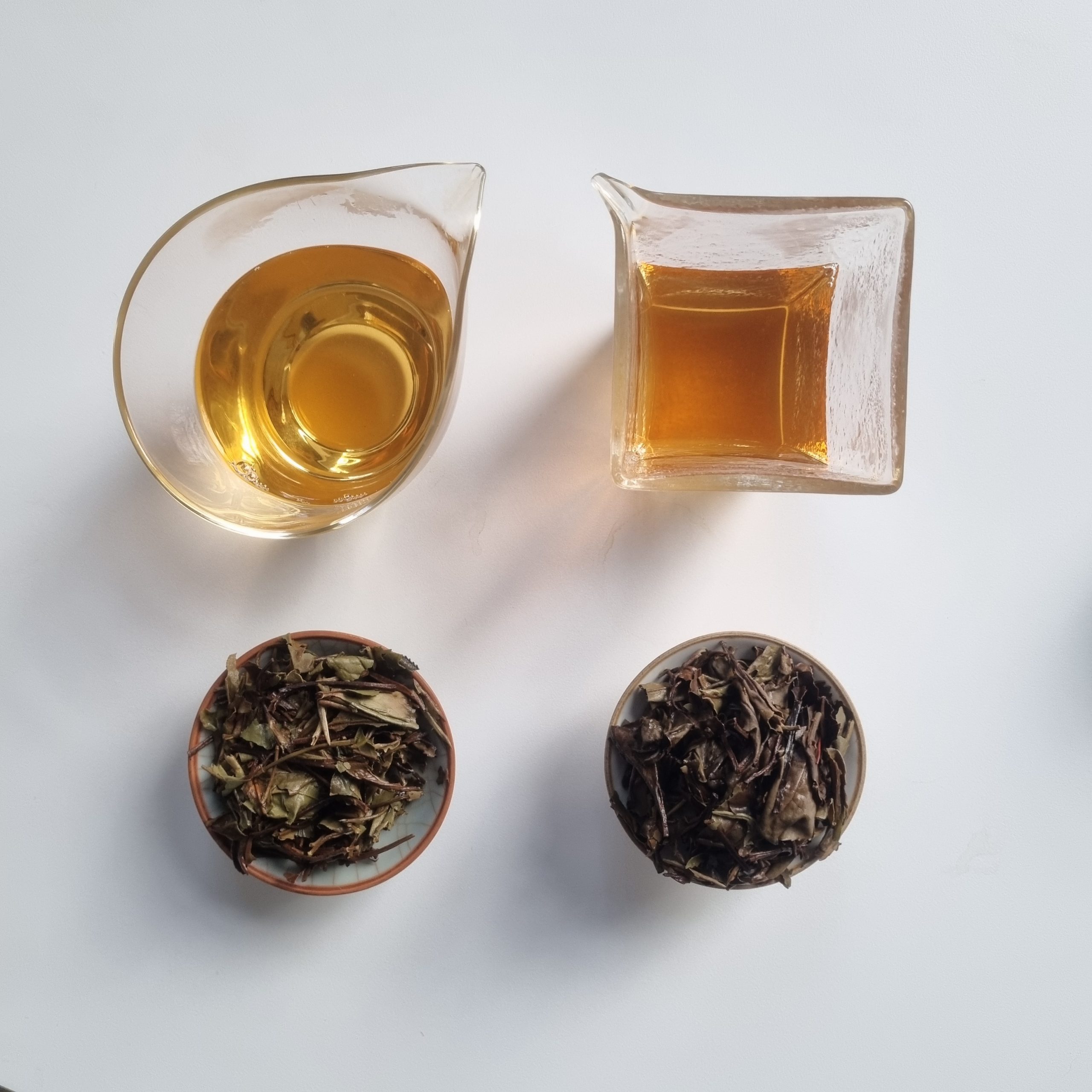 2013 Aged White Peony