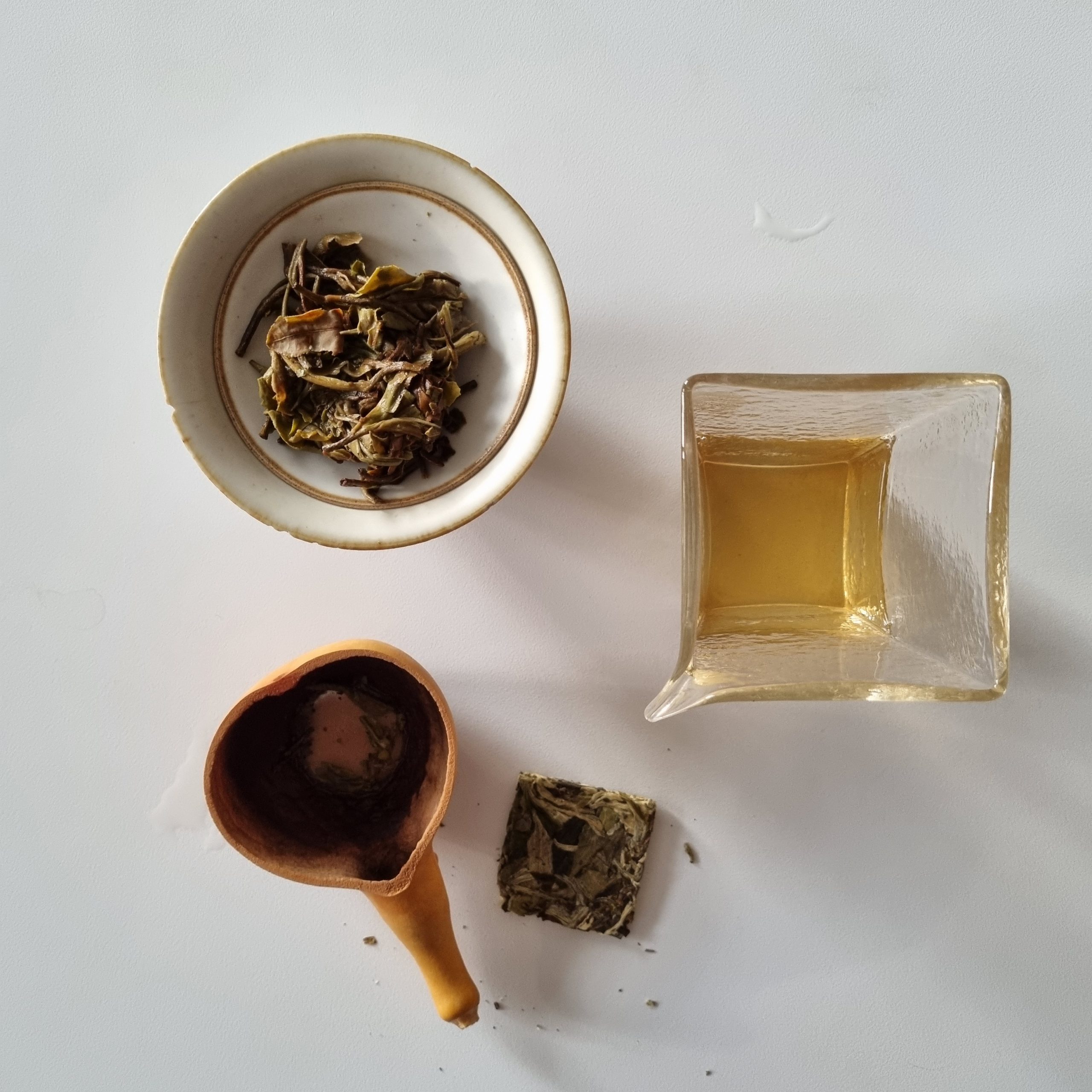 Wild White