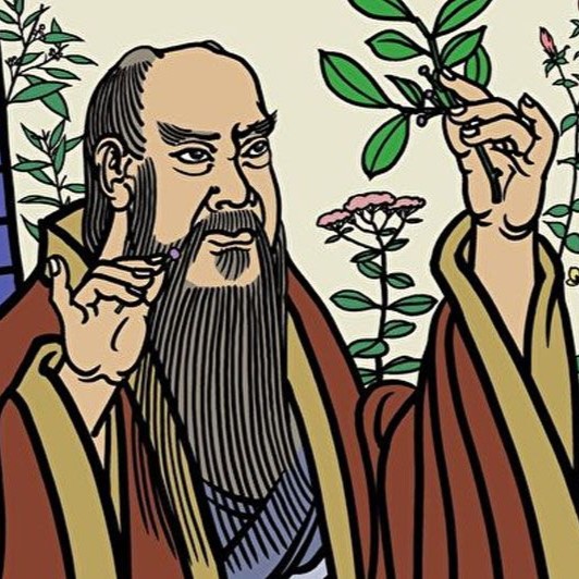 Die Entdeckung des Tees