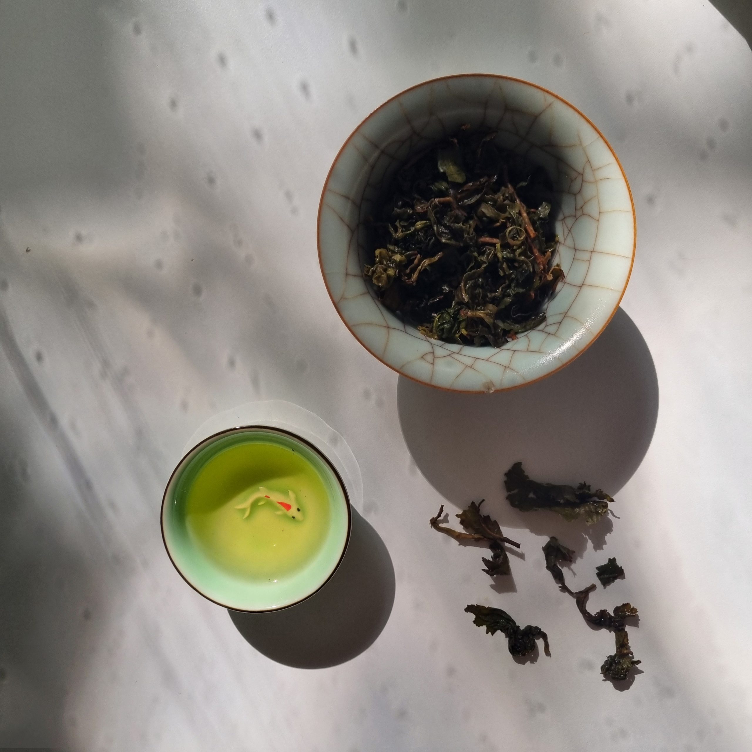 Java Oolong Barisan